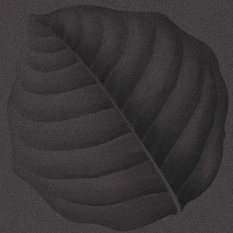 Botanica Lava Lymph BO3030LL