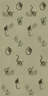 Mini Operae Lemurs Green OP60120GN