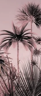 Operae Journey Pink OP120278JOB