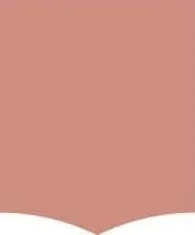 Клинкерная плитка Ornamenta Tale C Muted Clay TL1014MCO 10x14 матовая