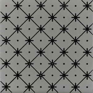 Плитка Ornamenta Terra Mia Riggiola TM2020RG 20x20 матовая