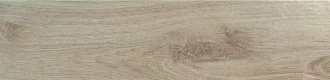 Nordic Dune