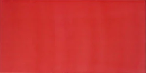 Плитка Pamesa Agatha Carmin 25x50 глянцевая