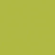 Плитка Pamesa Agatha Pistcho 25x50 глянцевая