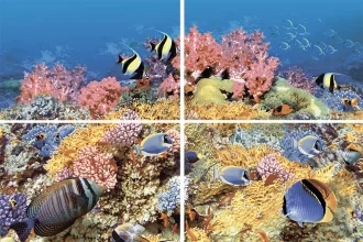 Панно Alba Reef 1