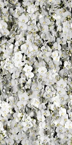 Керамогранит 41zero42 Paper41 Eva 50x100 матовый