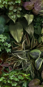 Керамогранит 41zero42 Paper41 Jane B 50x100 матовый