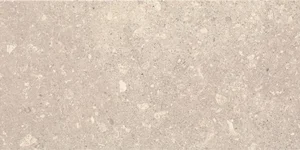 Плитка Paradyz Aragorn Light Grys 53945 30x60 матовая