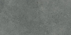 Керамогранит Paradyz Authority Graphite Gres Szkl. Rekt. Mat 60x120 матовый