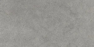 Керамогранит Paradyz Authority Grey Gres Szkl. Rekt. Mat 60x120 матовый