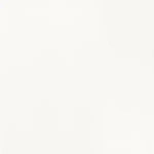 Плитка Paradyz Esten Bianco 50x50 матовая