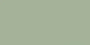 Плитка Paradyz Feelings Green Sciana Rekt. 29,8x59,8 полированная