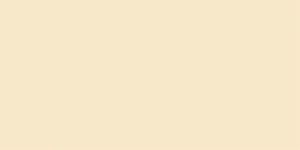 Плитка Paradyz Neve Vanilla Sciana Polysk. 30x60 глянцевая