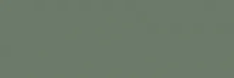 Nightwish Green Sciana Rekt.