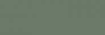 Плитка Paradyz Nightwish Green Sciana Rekt. 25x75 матовая