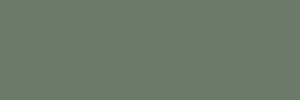 Плитка Paradyz Nightwish Green Sciana Rekt. 25x75 матовая