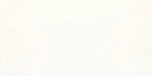 Плитка Paradyz Porcelano Bianco Sciana 30x60 глянцевая