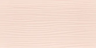 Synergy Coral Sciana A Struktura