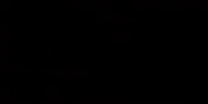 Плитка Paradyz Synergy Nero Sciana 30x60 глянцевая