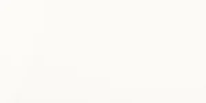 Плитка Paradyz Tonnes Bianco Sciana 30x60 глянцевая