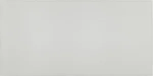 Плитка Paradyz Tonnes Grys Sciana 30x60 глянцевая