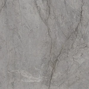 Керамогранит Paradyz Visioner Grey Gres Szkl. Rekt. Poler 120x120 полированный