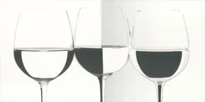 Декоративный элемент Paradyz Vivida Bianco Inserto Vine 30x60 глянцевый