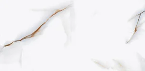 Керамогранит Pardis Ceramic Barcelon P76295 60x120 матовый