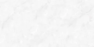Bloniya BS176541