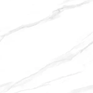 Керамогранит Pardis Ceramic Watson P166531 60x60 матовый