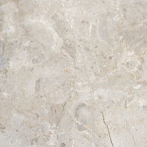 Плитка Vives Paros-R Grafito 59,3x59,3 глянцевая