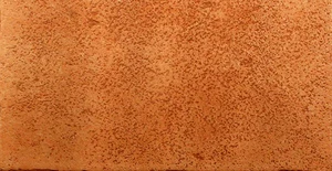 Клинкерная плитка Exagres Pav. Vega Roja Antideslizante 16x33 матовая