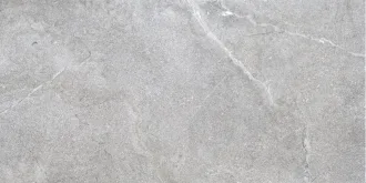 Lucca Grey AS/60X120/C/R 29853