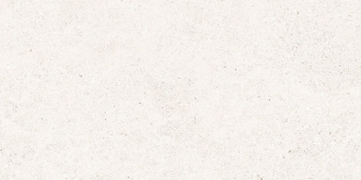 Manhattan White As/60X120/C/R 34745