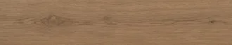 Moritz Camel/A 24983