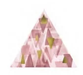 Triangolo Impressioni Oro su Rosa