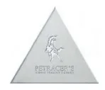 Triangolo Logo su Platino Matt