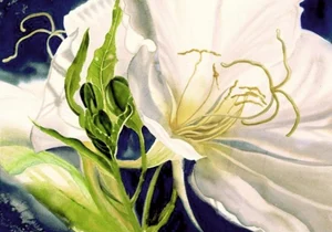 Piastrella Рифлессо Онтарио Декор 2 28x40 глянцевый