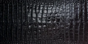 Плитка Maciej Zien Piccadilly Queensway Black 29,8x59,8 глянцевая