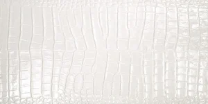 Плитка Maciej Zien Piccadilly Queensway White 29,8x59,8 глянцевая
