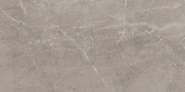Керамогранит Piemme Majestic Supreme Grey Lev/Ret 02579 60x119,5 полированный