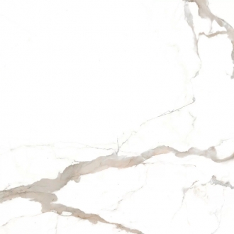 Calacatta Brown CA008080N
