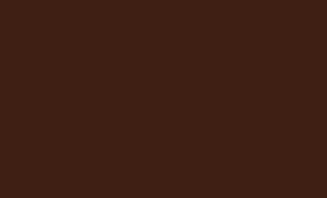 Плитка Pieza Ceramica ColorIt Коричневая CL102033G 20x33 глянцевая
