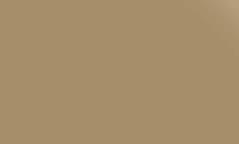 Плитка Pieza Ceramica ColorIt Св. коричневая CL092033G 20x33 глянцевая