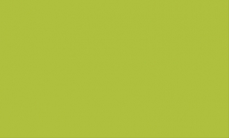 ColorIt Зеленая CL052033G