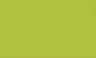 ColorIt Зеленая CL052033G