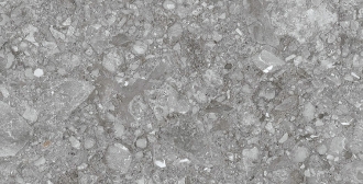 Palladino grey PA006012N