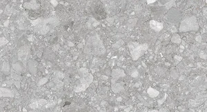 Керамогранит Pieza Ceramica Palladino light grey PA016012N 60x120 матовый