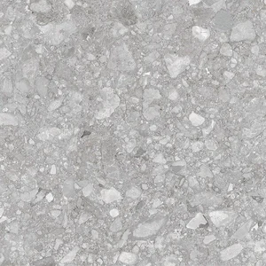 Керамогранит Pieza Ceramica Palladino light grey PA016060N 60x60 матовый
