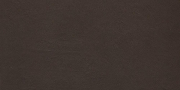 Керамогранит Porcelaingres Color Studio Brown X630367X6 30x60 матовый